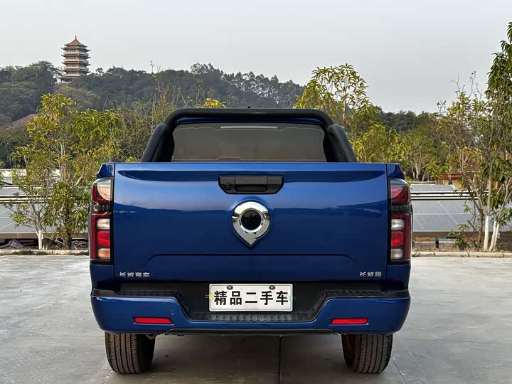 Фото 7 - Great Wall Pao