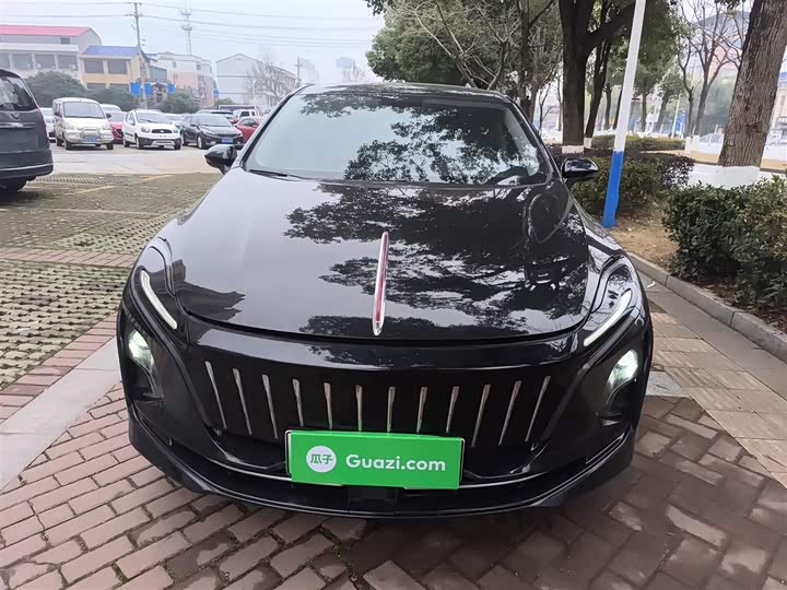 Фото 3 - Hongqi E-QM5