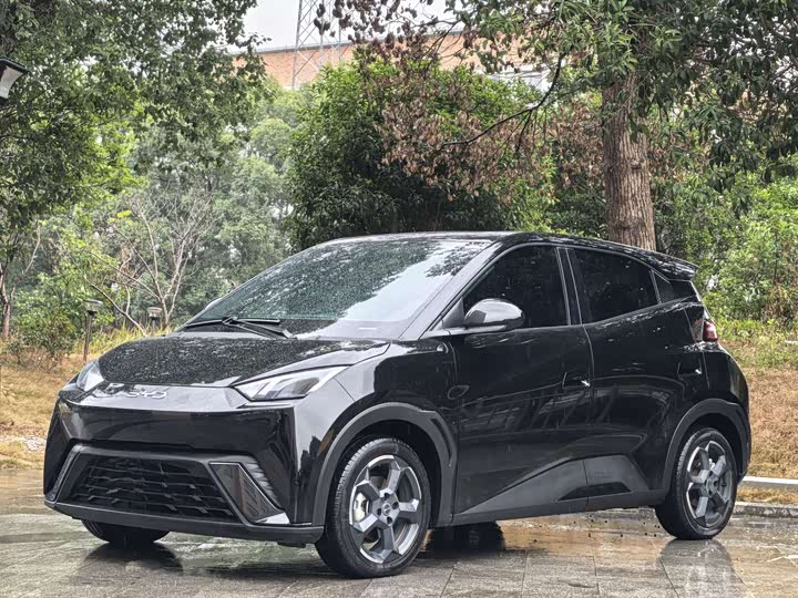 Фото 1 - BYD Seagull