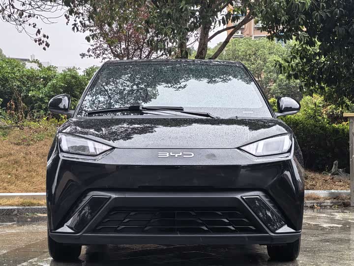 Фото 2 - BYD Seagull