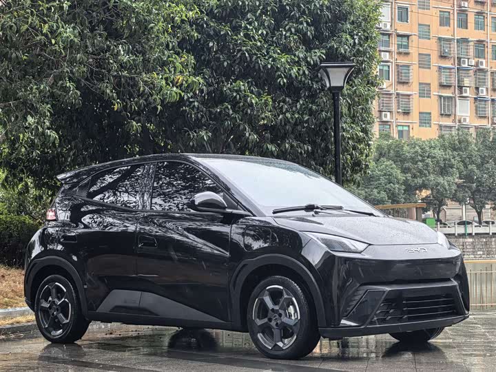 Фото 3 - BYD Seagull