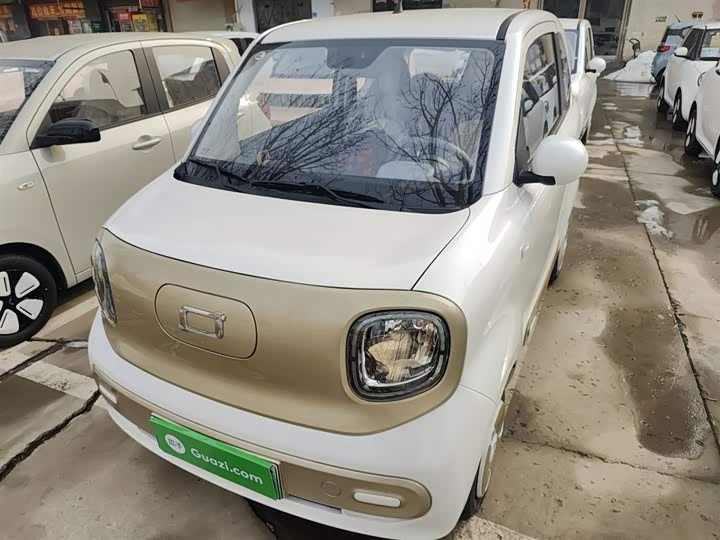 Фото 1 - Bestune Pony