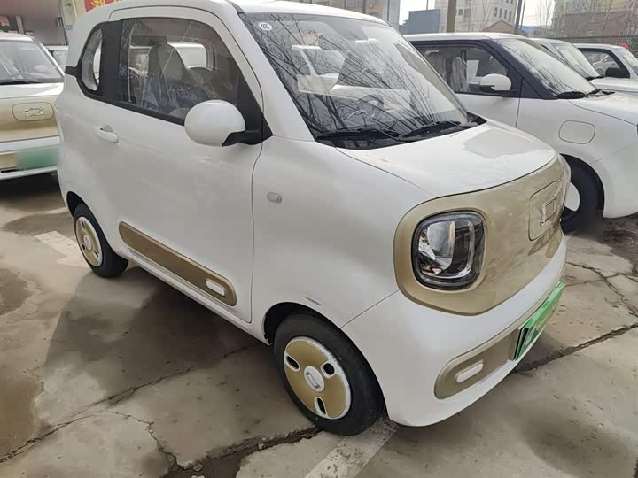 Фото 4 - Bestune Pony