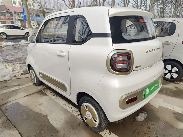 Фото 5 - Bestune Pony