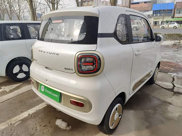 Фото 7 - Bestune Pony