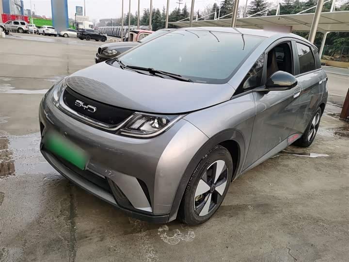 Фото 1 - BYD Dolphin