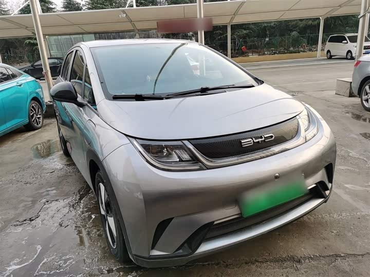 Фото 4 - BYD Dolphin