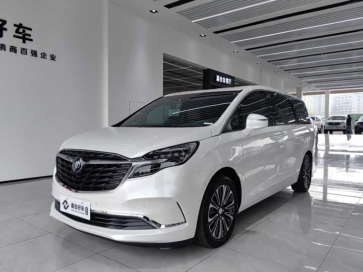 Фото 1 - Buick GL8 ES