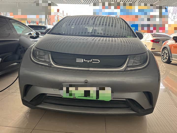 Фото 2 - BYD Dolphin