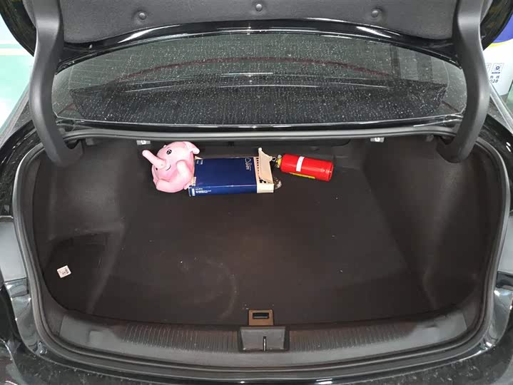 Фото 4 - Buick Regal