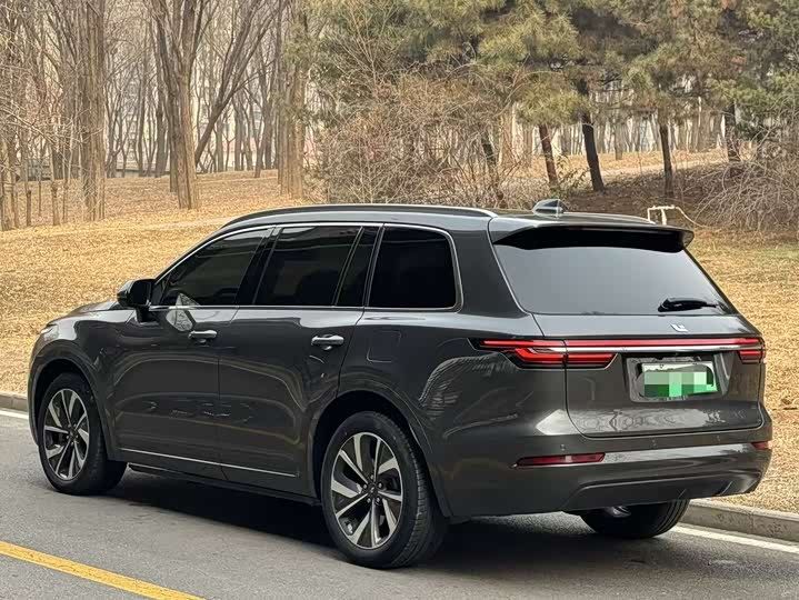 Фото 4 - LiXiang One