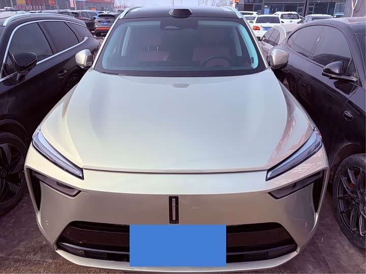 Фото 2 - Wey Lanshan