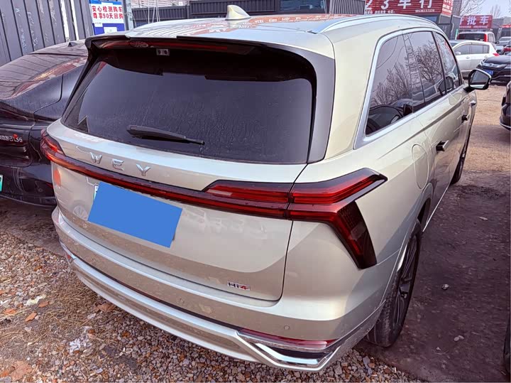 Фото 4 - Wey Lanshan