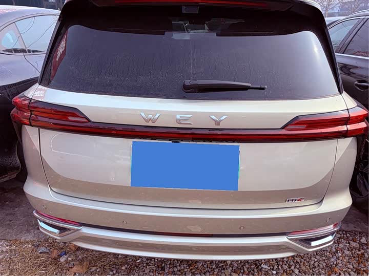 Фото 5 - Wey Lanshan