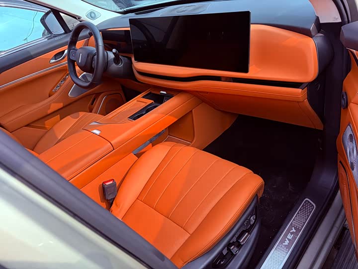 Фото 9 - Wey Lanshan