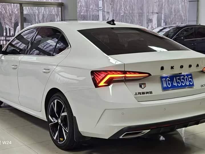 Фото 6 - Skoda Octavia Pro