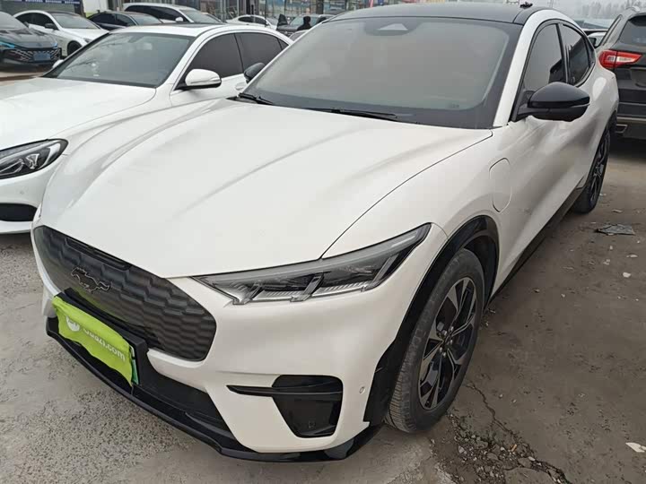 Фото 2 - Ford Mustang Mach-E