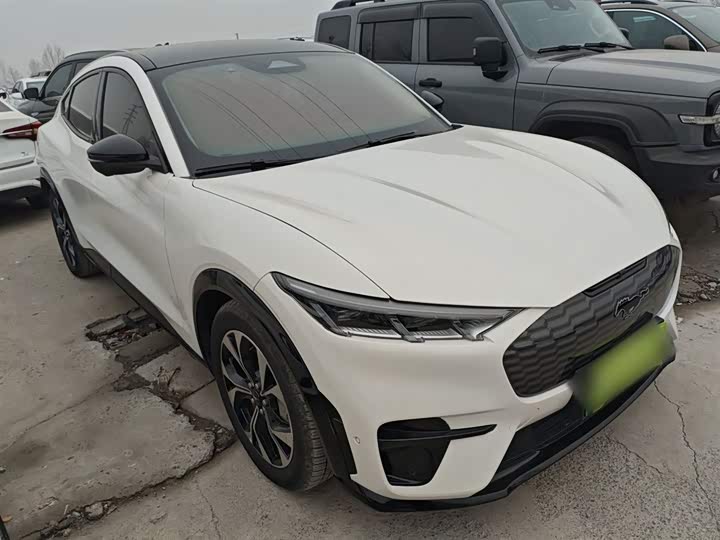 Фото 4 - Ford Mustang Mach-E