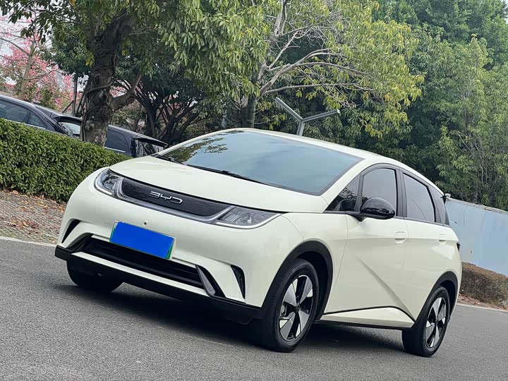 Фото 1 - BYD Dolphin