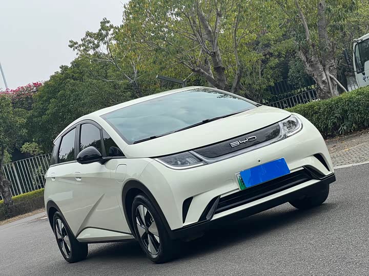 Фото 3 - BYD Dolphin