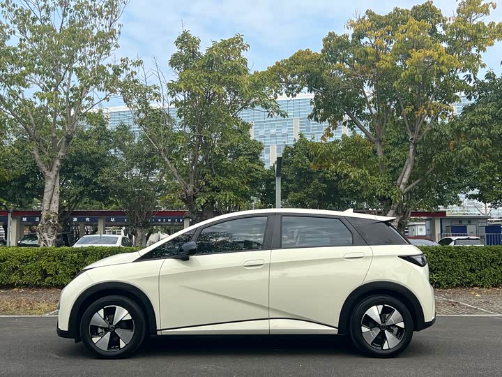 Фото 5 - BYD Dolphin