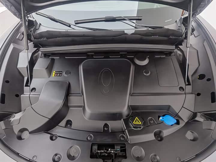 Фото 6 - Ora Lightning Cat (07)