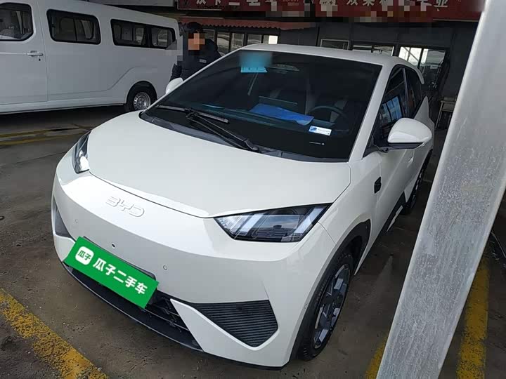 Фото 2 - BYD Seagull