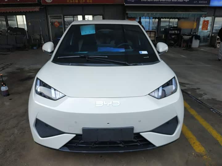 Фото 3 - BYD Seagull