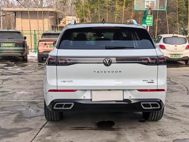 Фото 8 - Volkswagen Tavendor