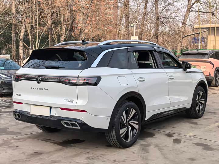 Фото 9 - Volkswagen Tavendor