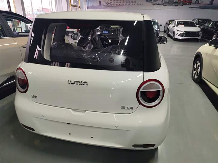 Фото 6 - Changan Qiyuan (Nevo) Lumin