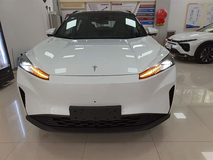 Фото 3 - Hedmos 06