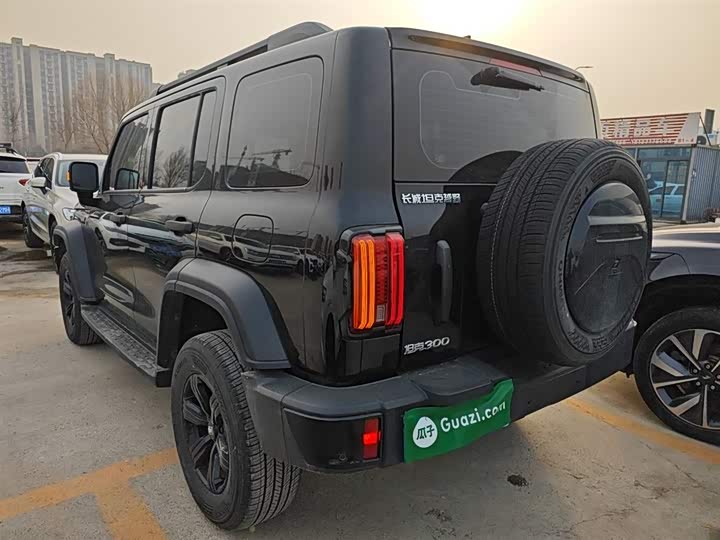 Фото 5 - Tank 300