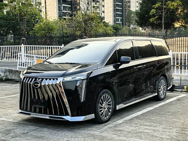 Фото 1 - GAC Trumpchi M8