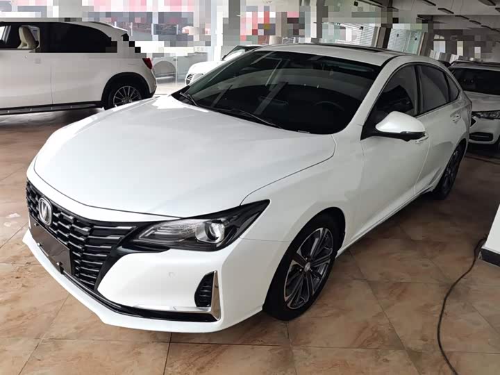 Фото 2 - Changan Raeton CC