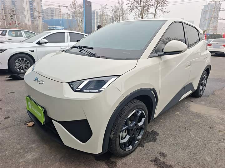 Фото 2 - BYD Seagull