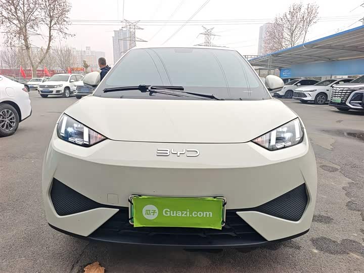 Фото 3 - BYD Seagull