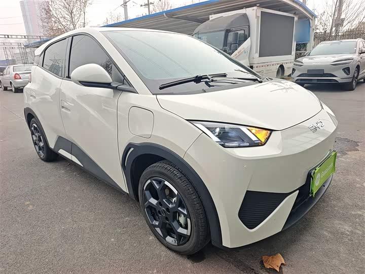 Фото 4 - BYD Seagull