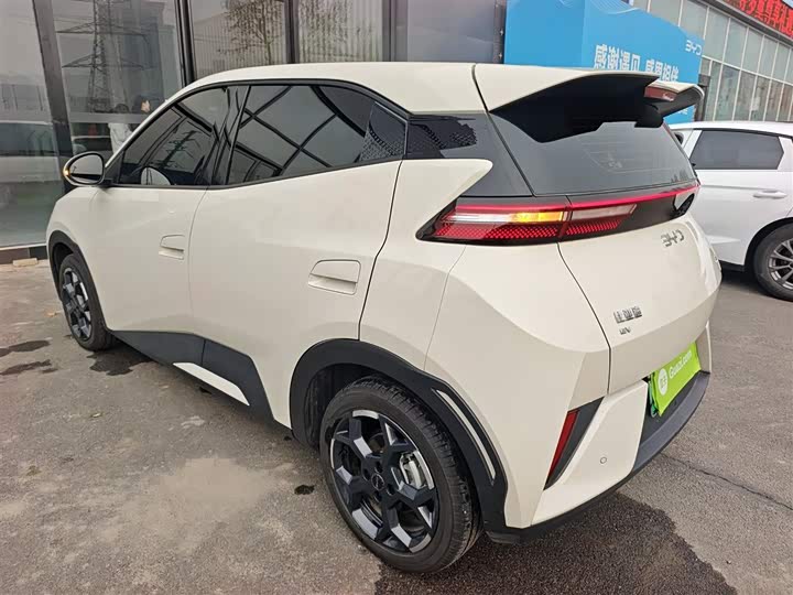 Фото 5 - BYD Seagull