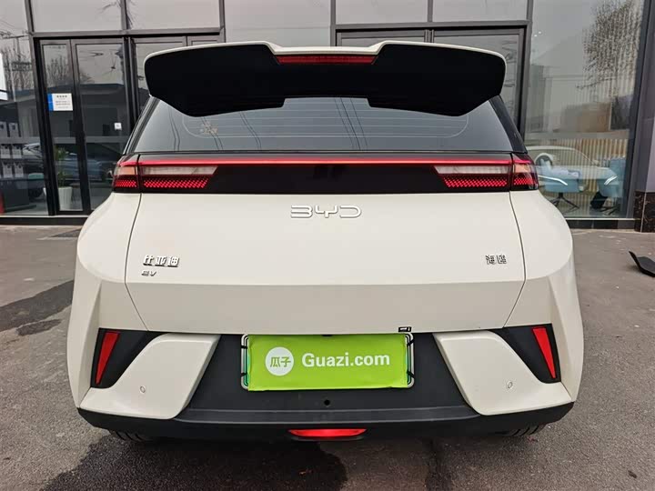 Фото 6 - BYD Seagull