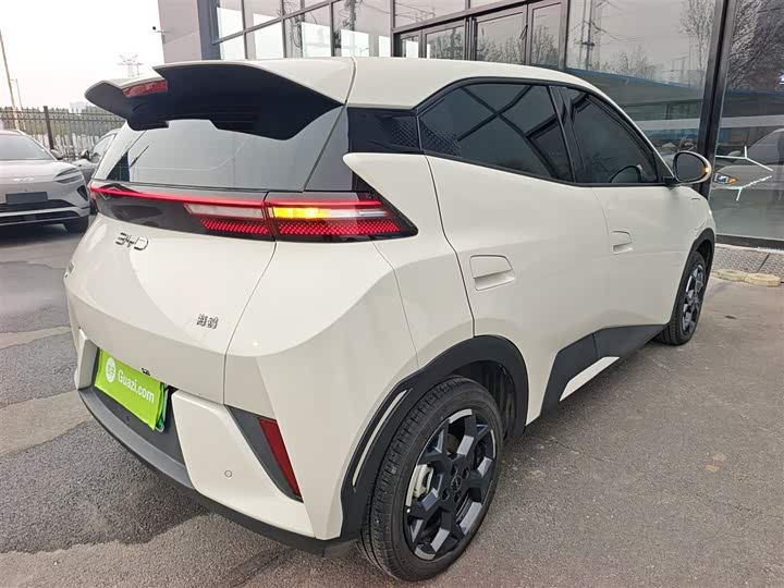 Фото 7 - BYD Seagull