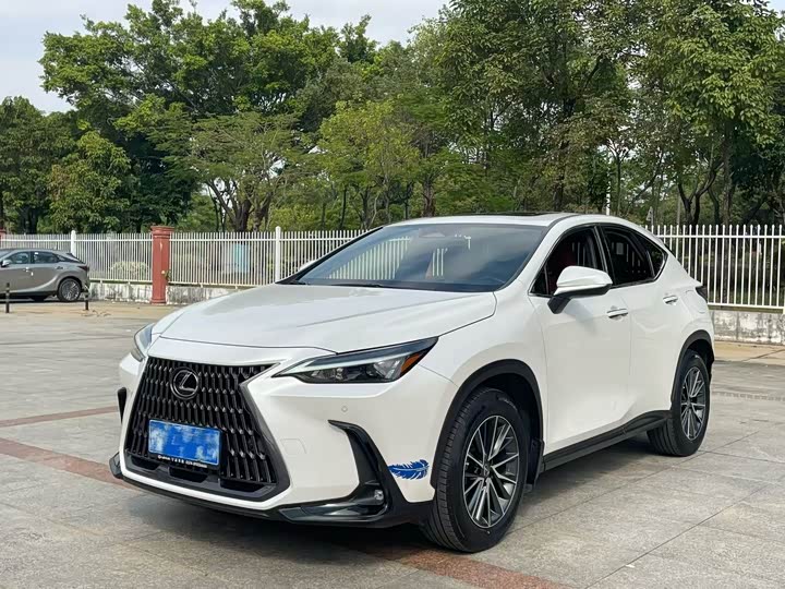 Фото 1 - Lexus NX
