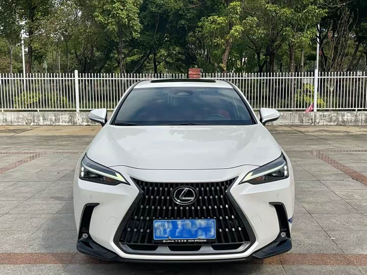Фото 2 - Lexus NX