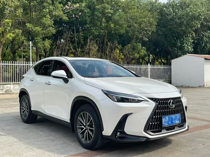 Фото 3 - Lexus NX