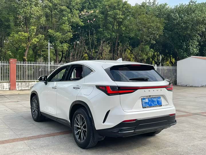 Фото 7 - Lexus NX