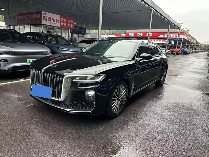 Фото 2 - Hongqi H9