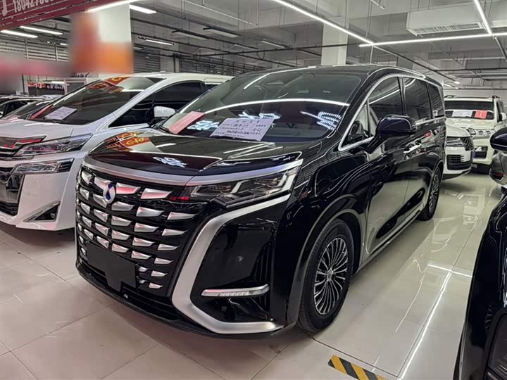 Фото 1 - Denza D9