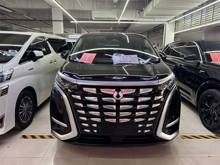 Фото 9 - Denza D9