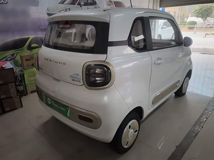 Фото 7 - Bestune Pony