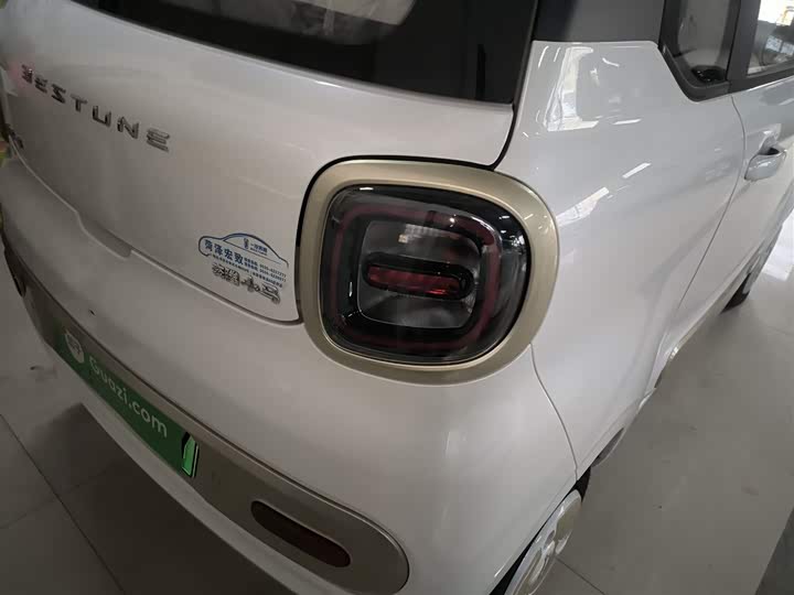 Фото 8 - Bestune Pony